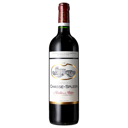 Château Chasse-Spleen 2019   0.75l Rouge • Bordeaux • Moulis AOC • 13.5% vol