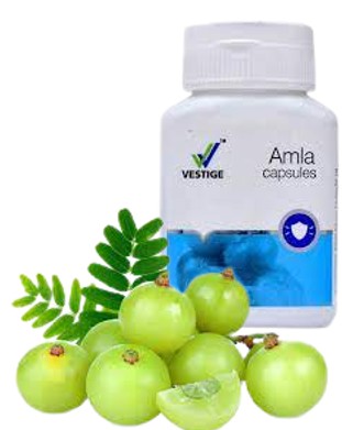 VESTIGE AMLA