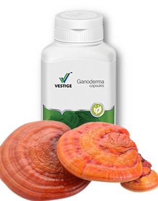 VESTIGE GANODERMA 