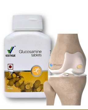 VESTIGE GLUCOSAMINE 