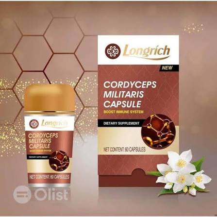 CORDYCEPS MILITARIS 