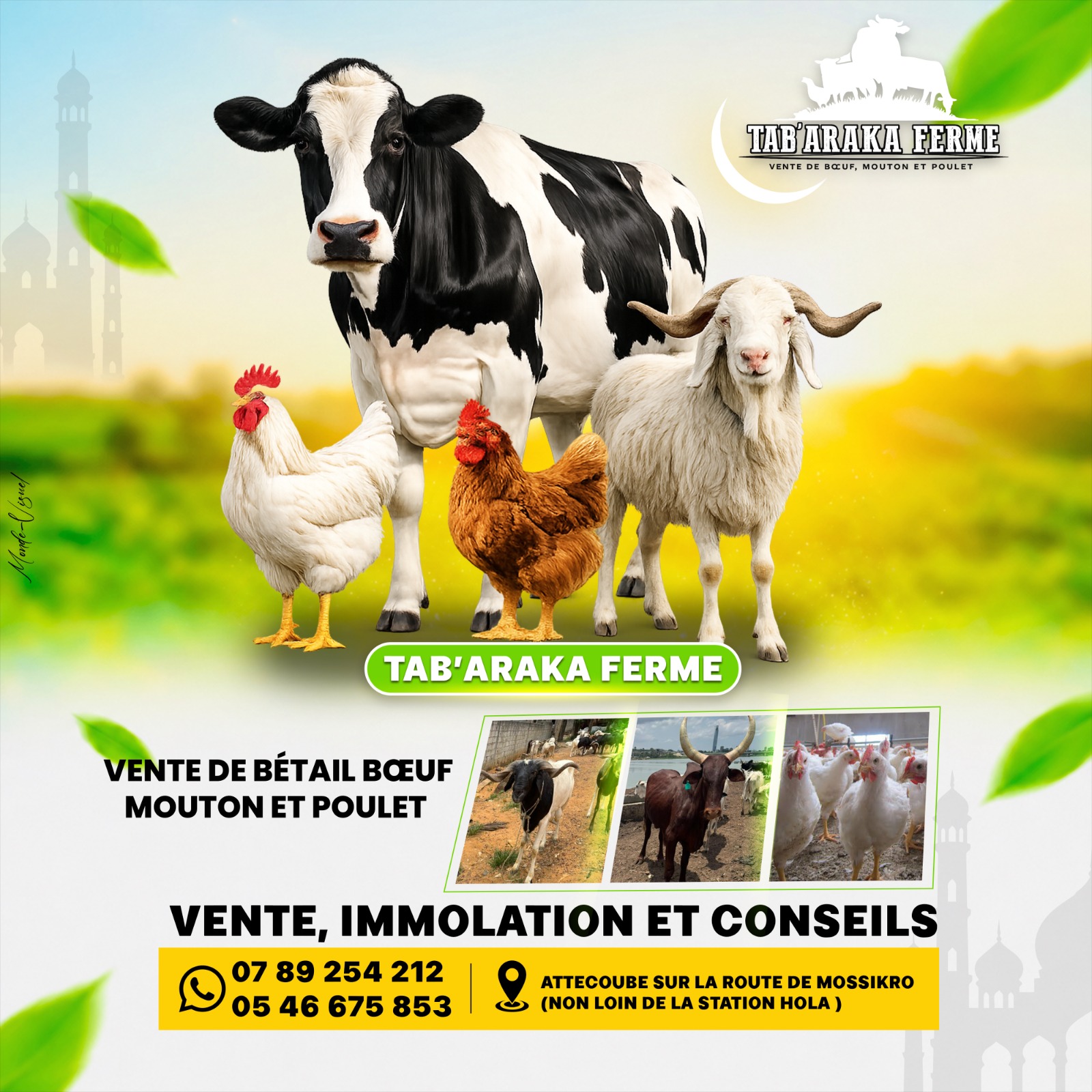 AFFICHE PUBLICITAIRE DE VENTE DE MOUTON