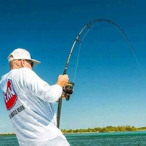 Canne a pêche professionnel 