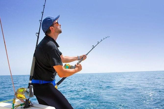 Canne a pêche sl500