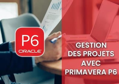 Primavera p6 