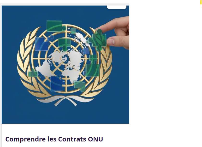 Formation: Comprendre l'ONU